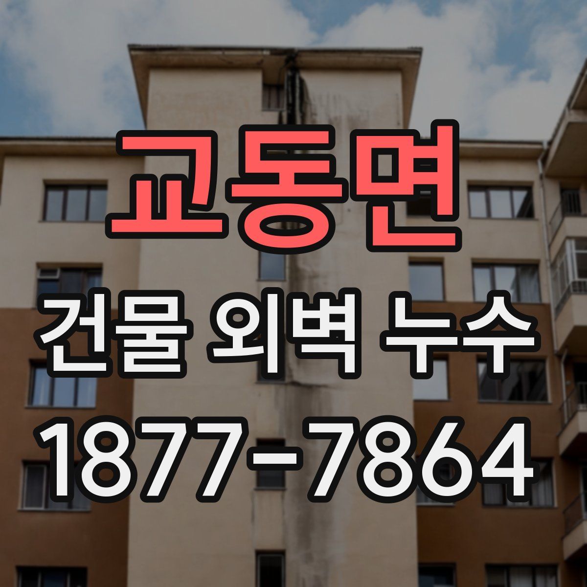 교동면 건물 외벽 누수