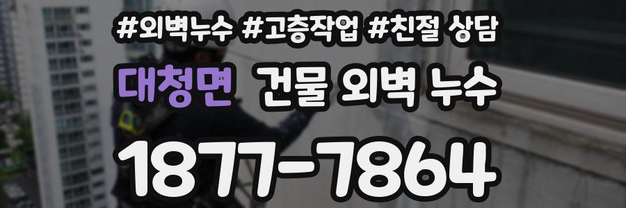 대청면 건물 외벽 누수