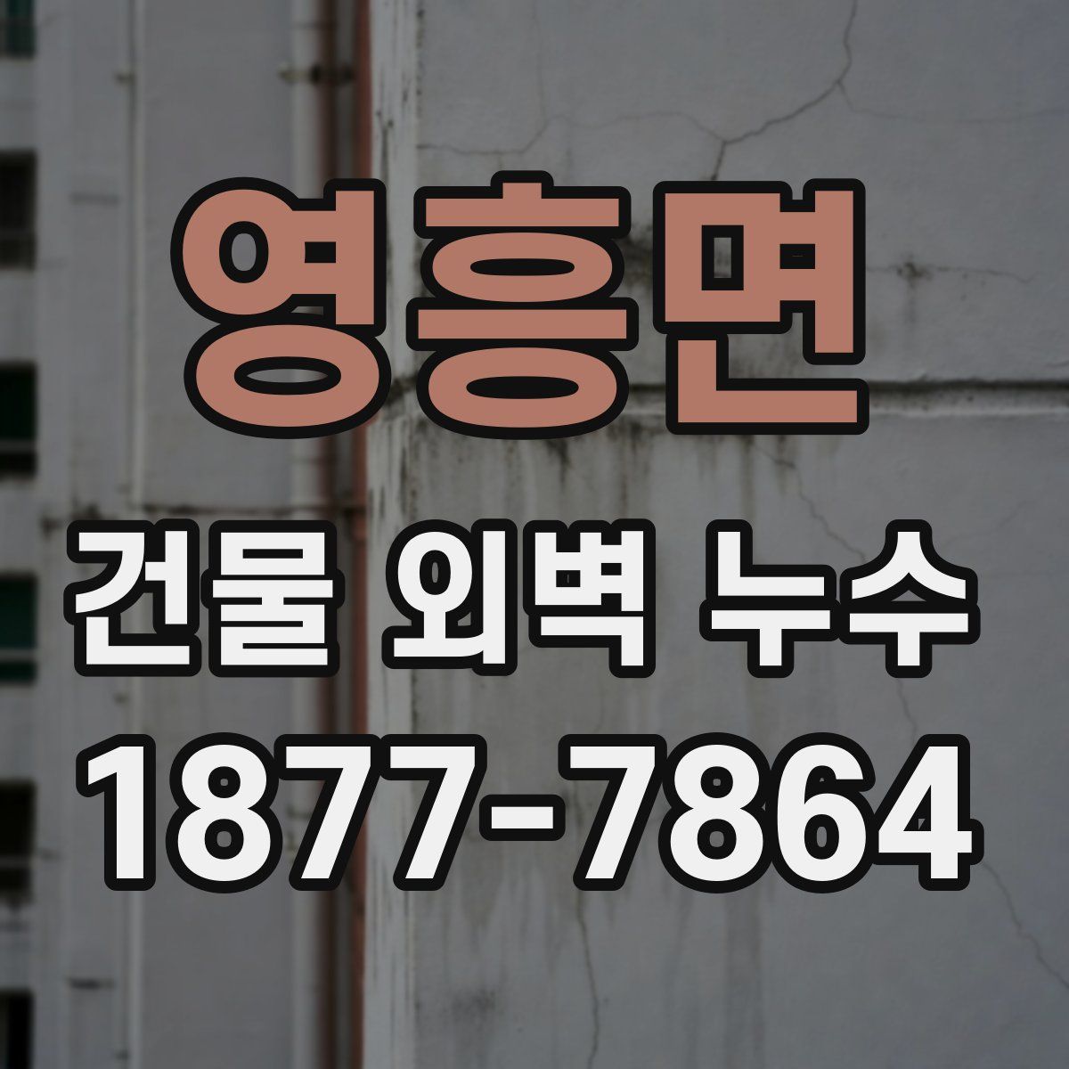 영흥면 건물 외벽 누수