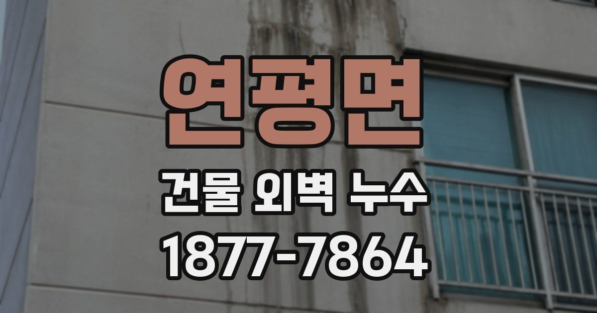 연평면 건물 외벽 누수