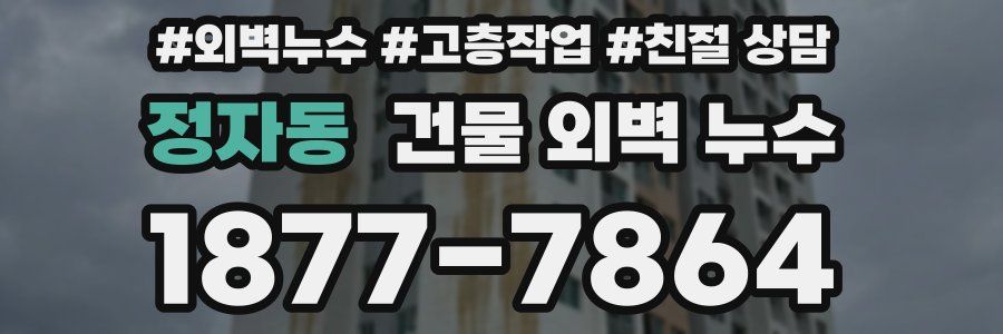 정자동 건물 외벽 누수