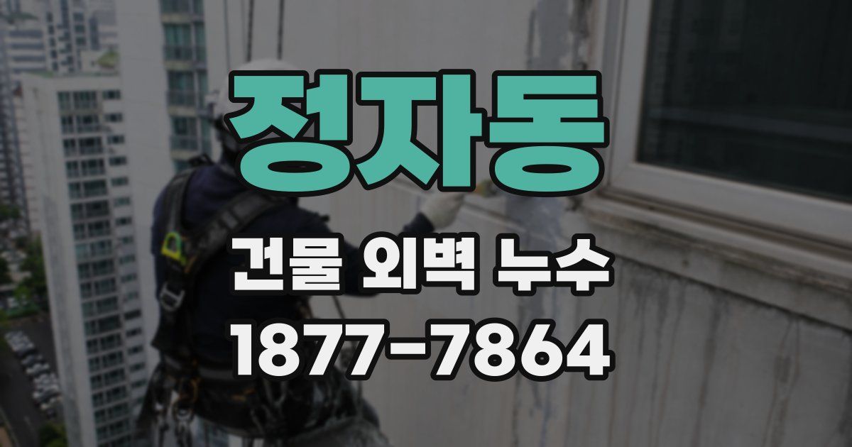 정자동 건물 외벽 누수