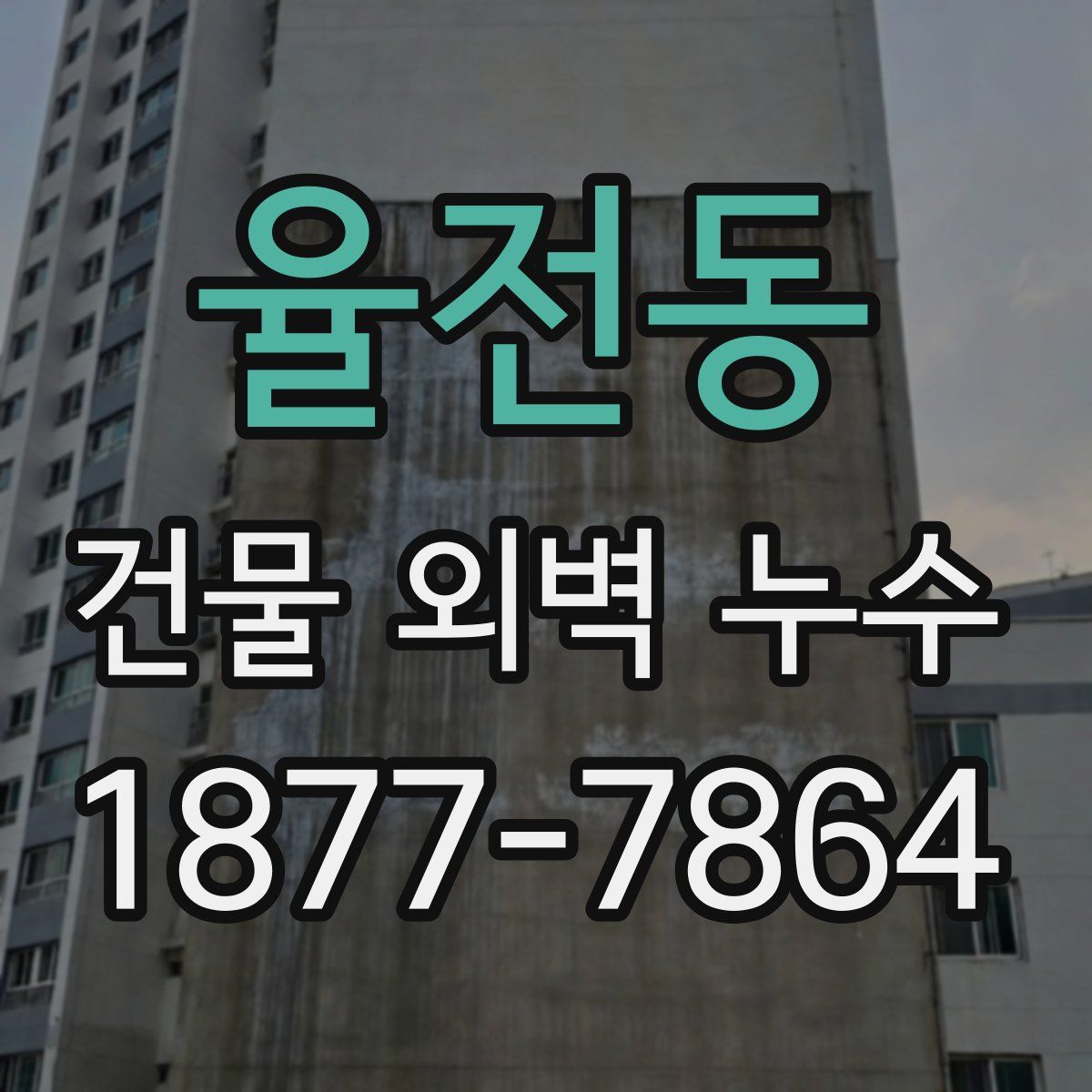 율전동 건물 외벽 누수
