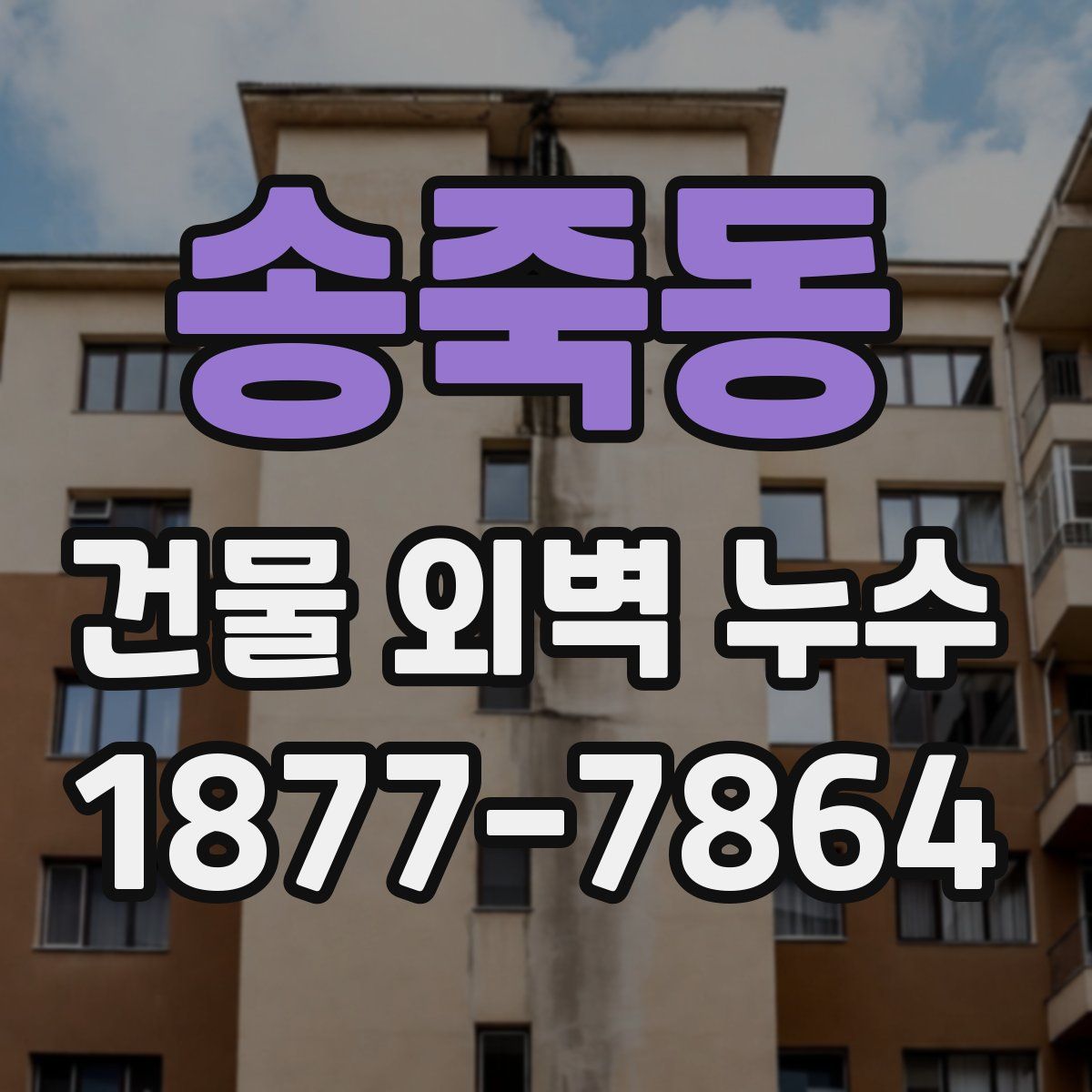 송죽동 건물 외벽 누수