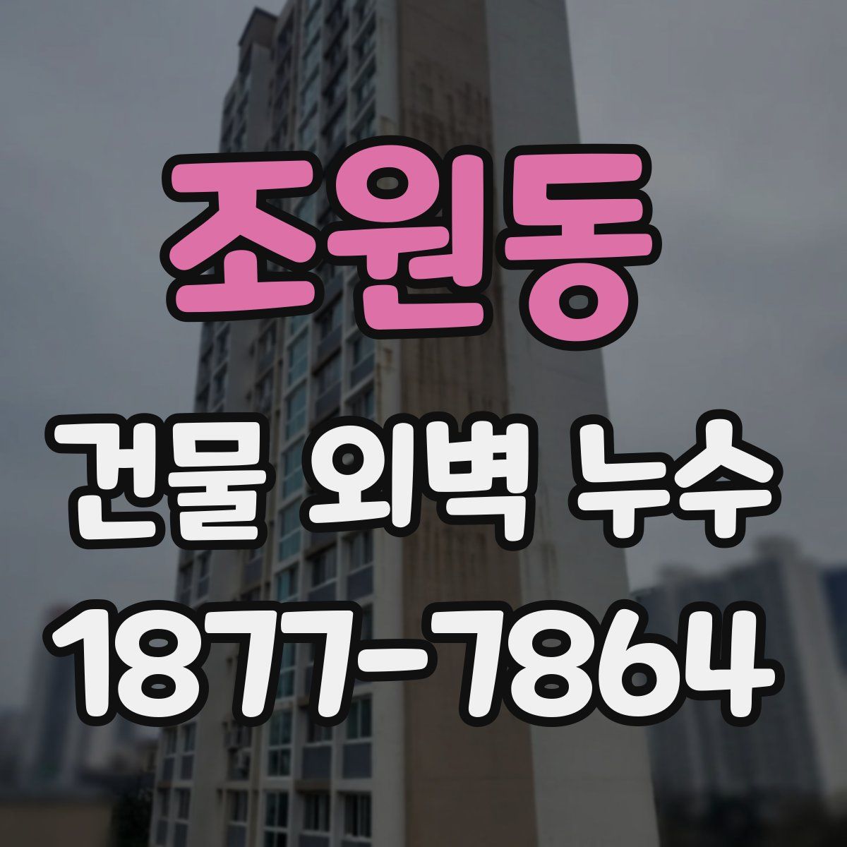조원동 건물 외벽 누수