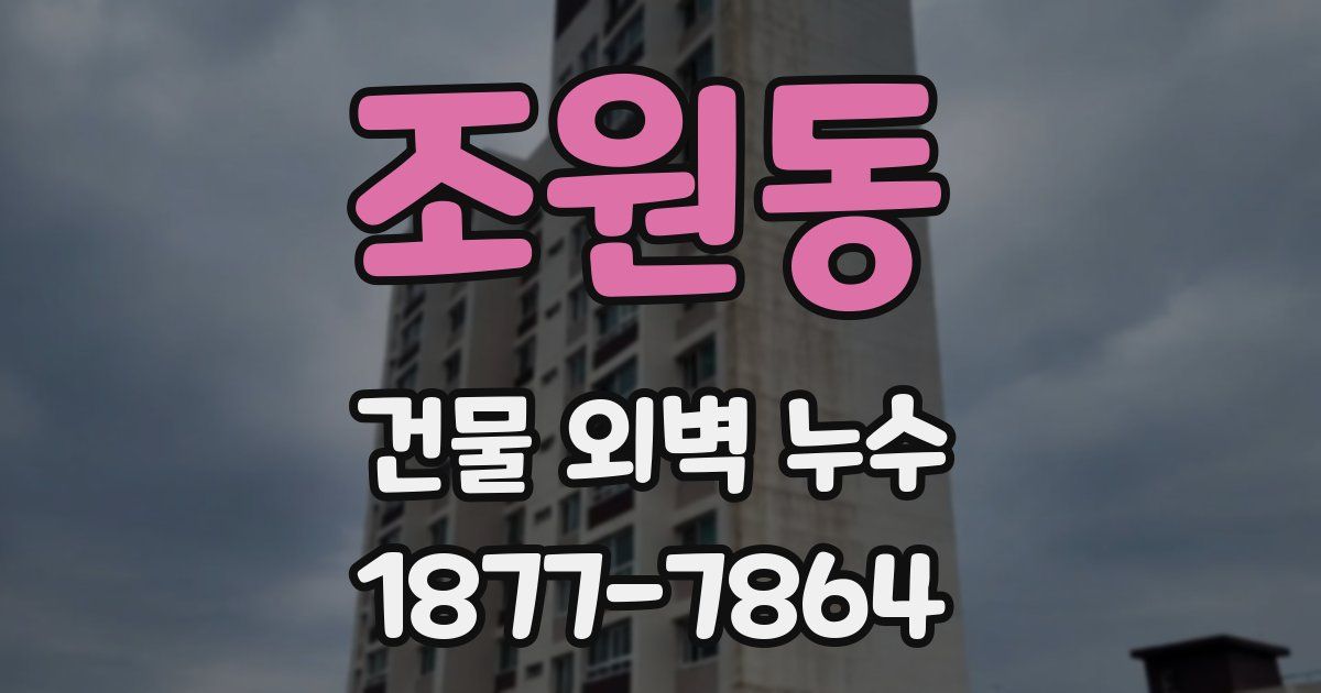 조원동 건물 외벽 누수