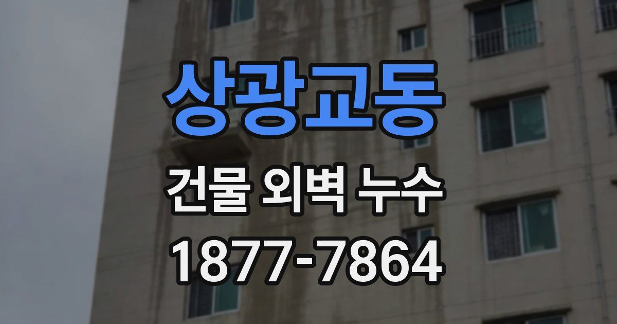 상광교동 건물 외벽 누수