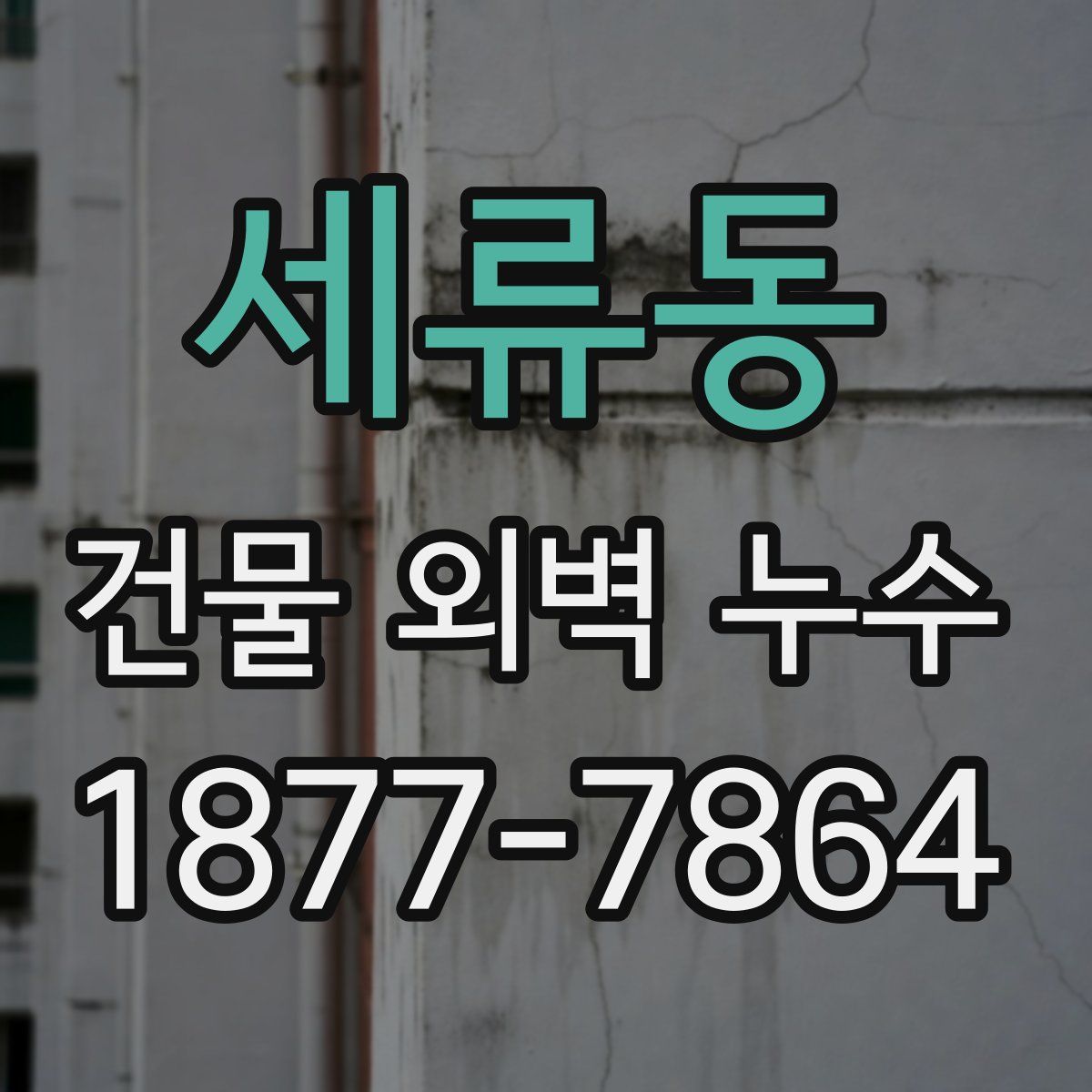 세류동 건물 외벽 누수