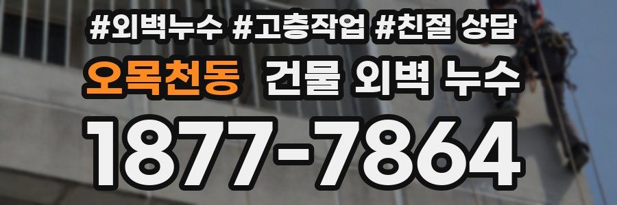오목천동 건물 외벽 누수