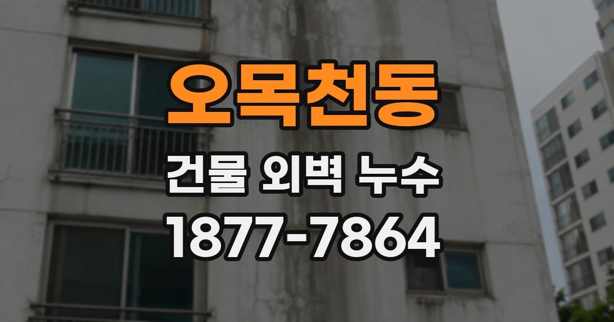 오목천동 건물 외벽 누수
