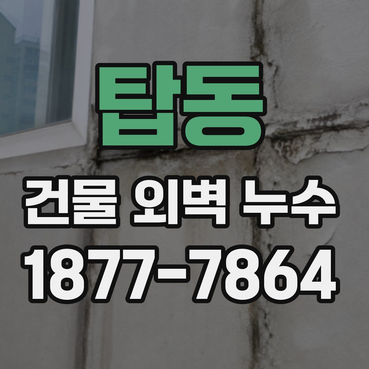 탑동 건물 외벽 누수