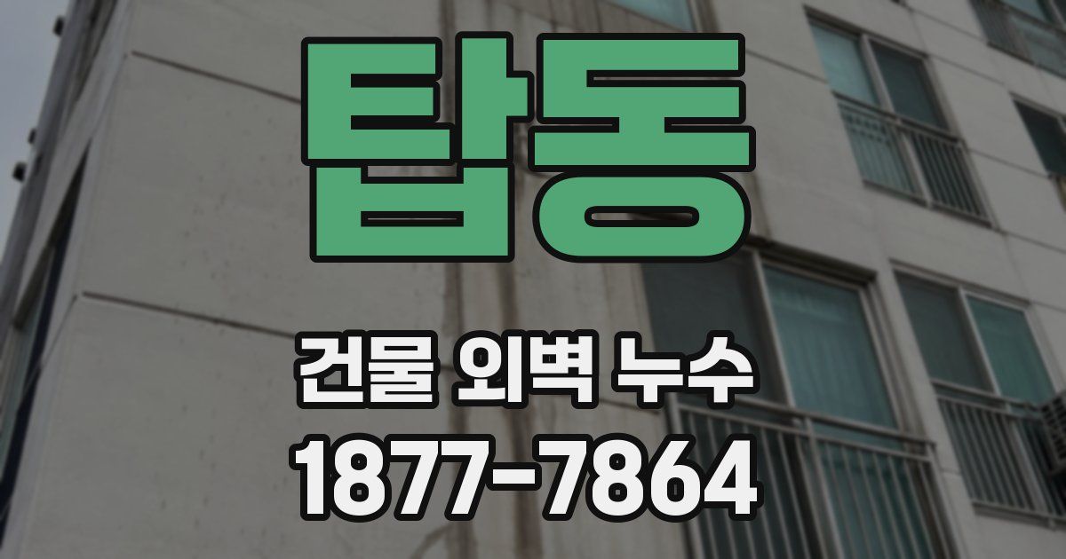 탑동 건물 외벽 누수