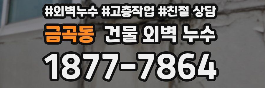 금곡동 건물 외벽 누수