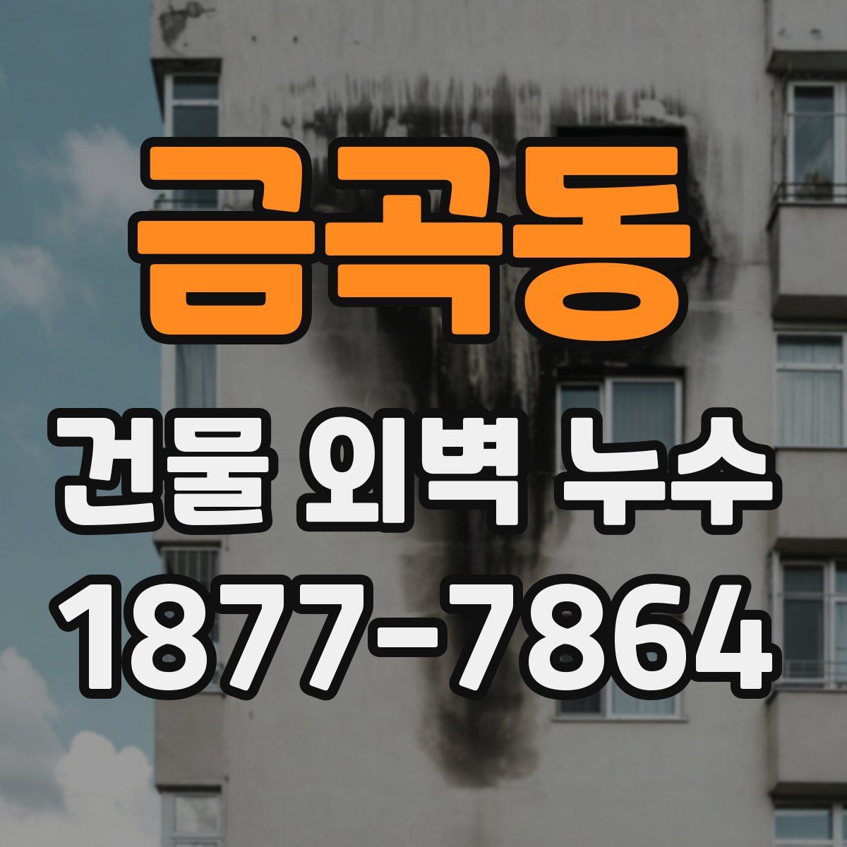 금곡동 건물 외벽 누수