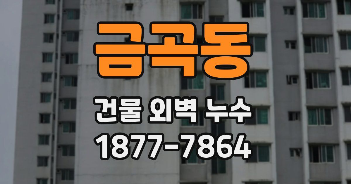 금곡동 건물 외벽 누수