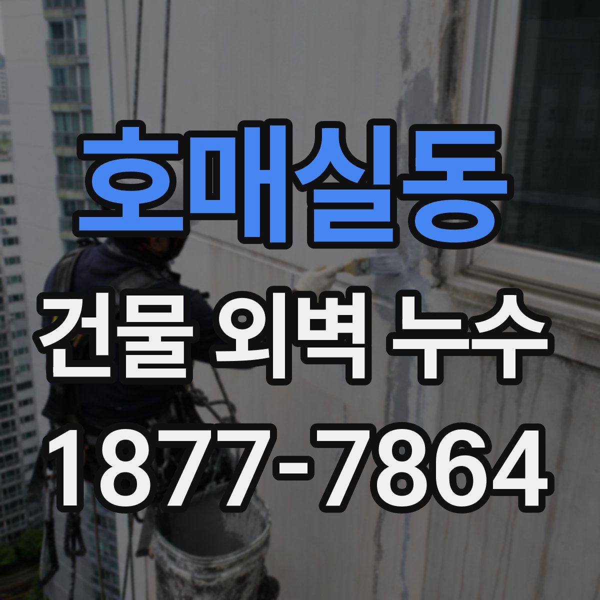 호매실동 건물 외벽 누수