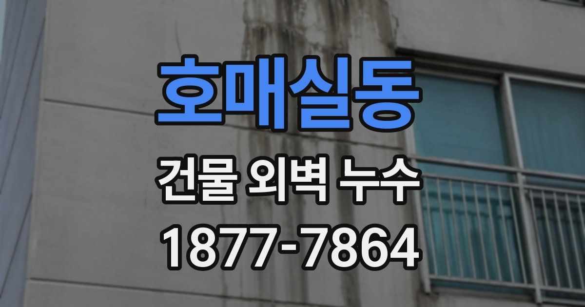 호매실동 건물 외벽 누수
