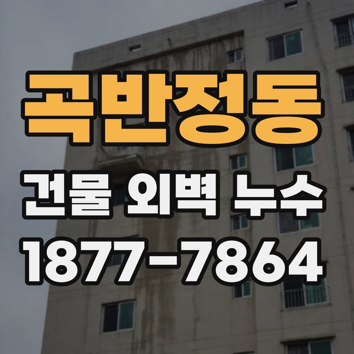 곡반정동 건물 외벽 누수 문제를 반복하지 않기 위한 관리법