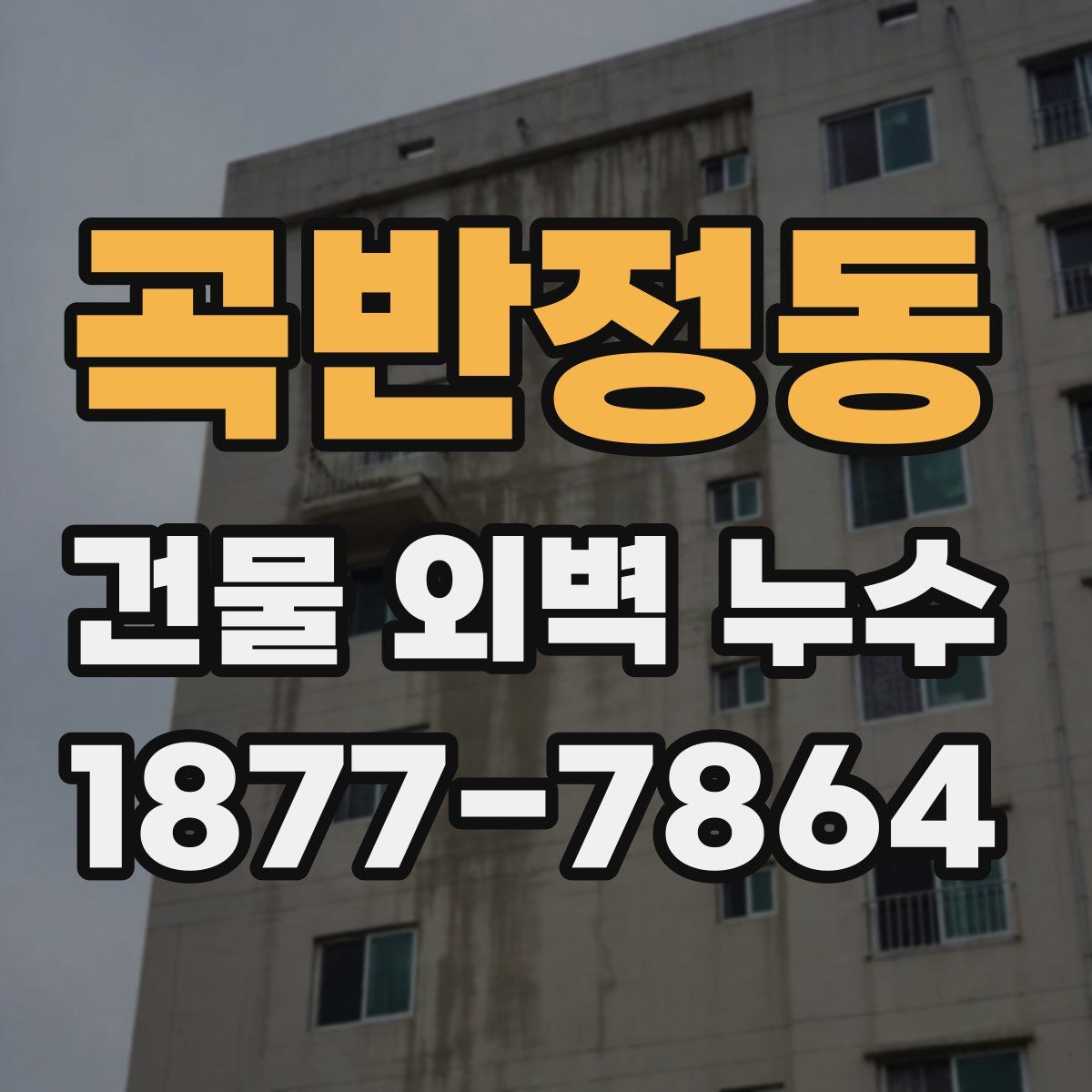 곡반정동 건물 외벽 누수