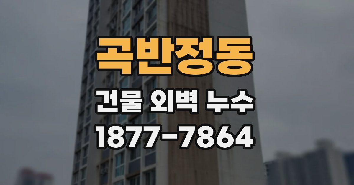 곡반정동 건물 외벽 누수