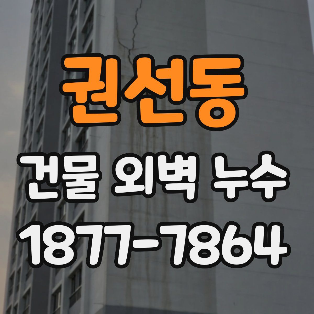 권선동 건물 외벽 누수
