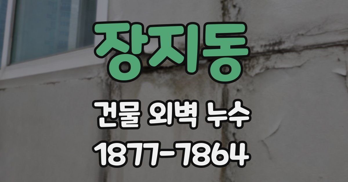 장지동 건물 외벽 누수