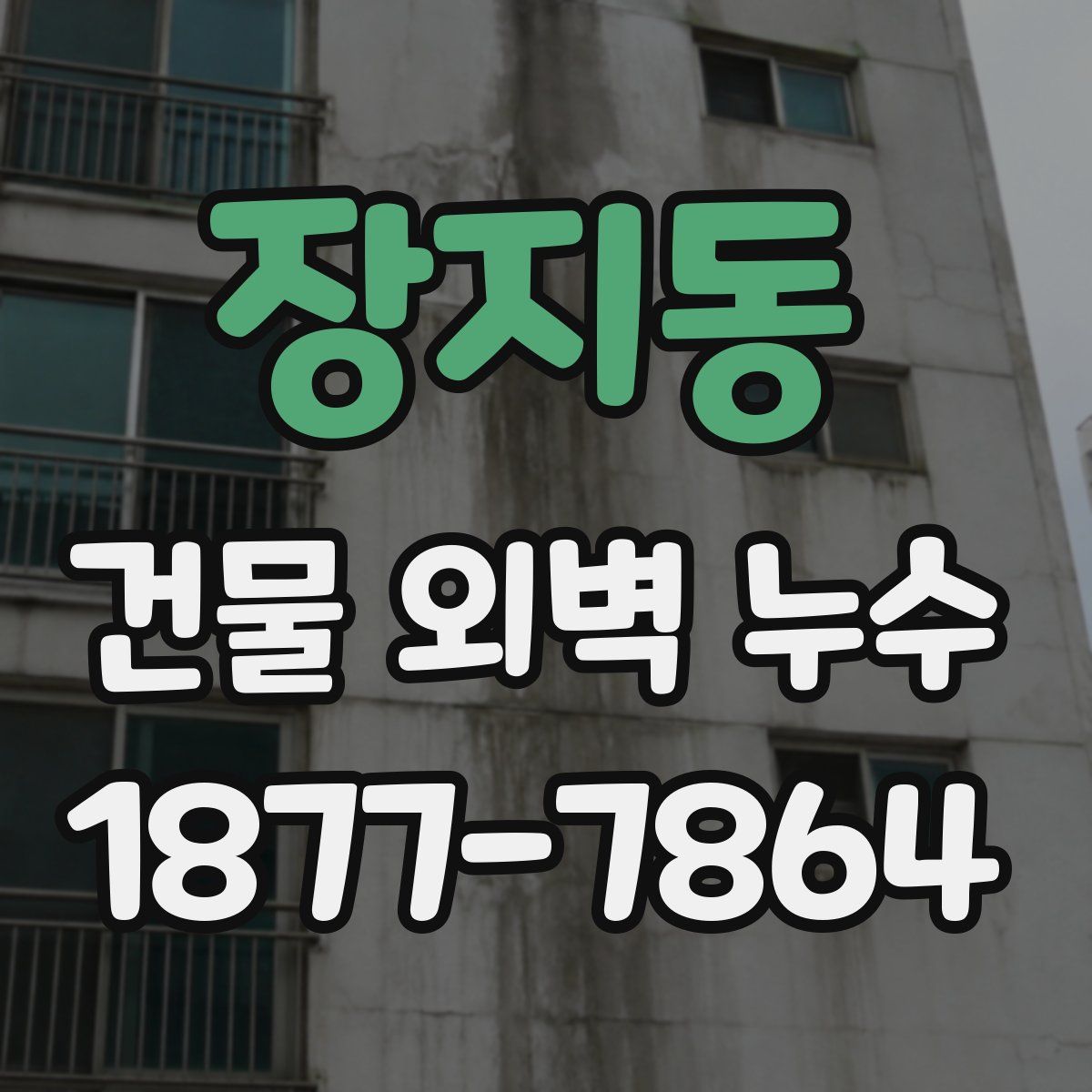 장지동 건물 외벽 누수