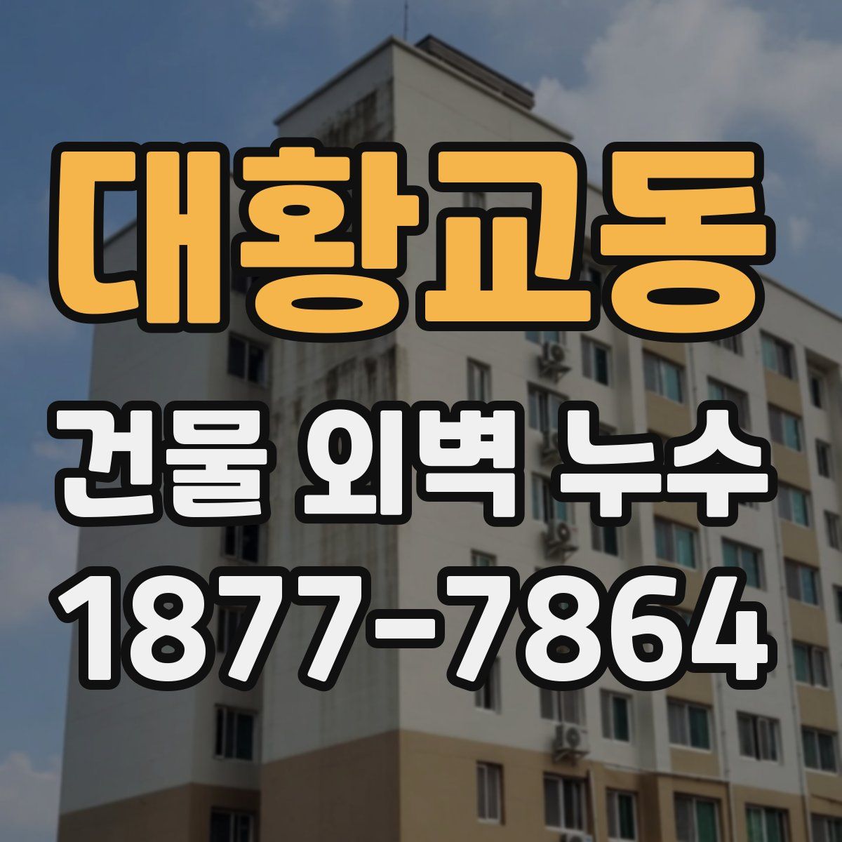 대황교동 건물 외벽 누수