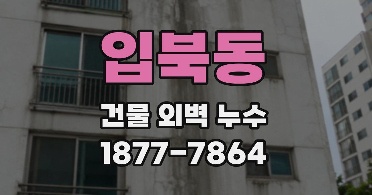 입북동 건물 외벽 누수