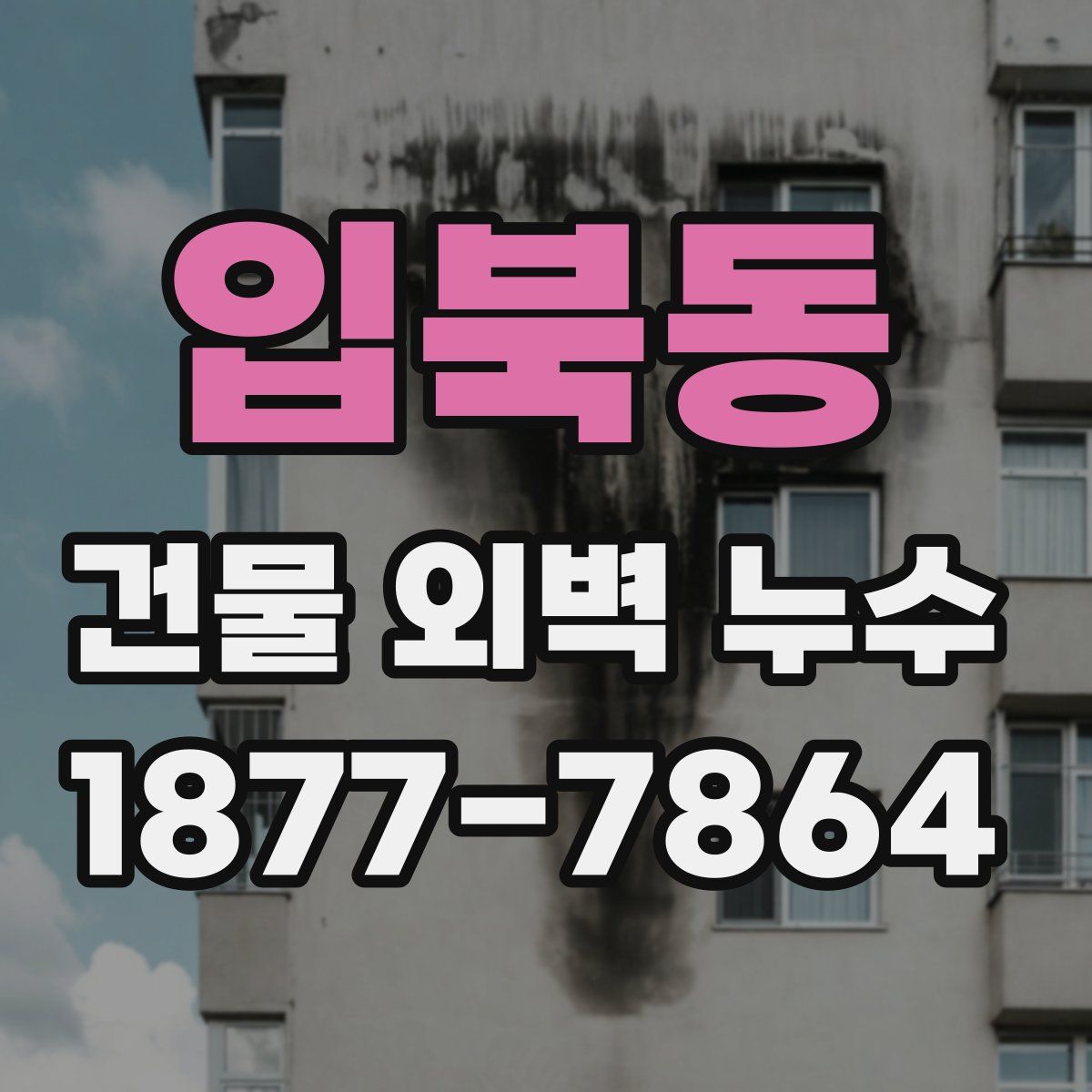 입북동 건물 외벽 누수