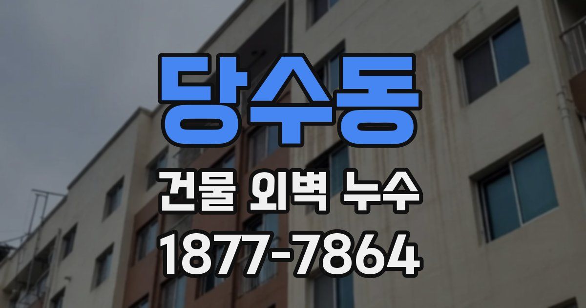 당수동 건물 외벽 누수