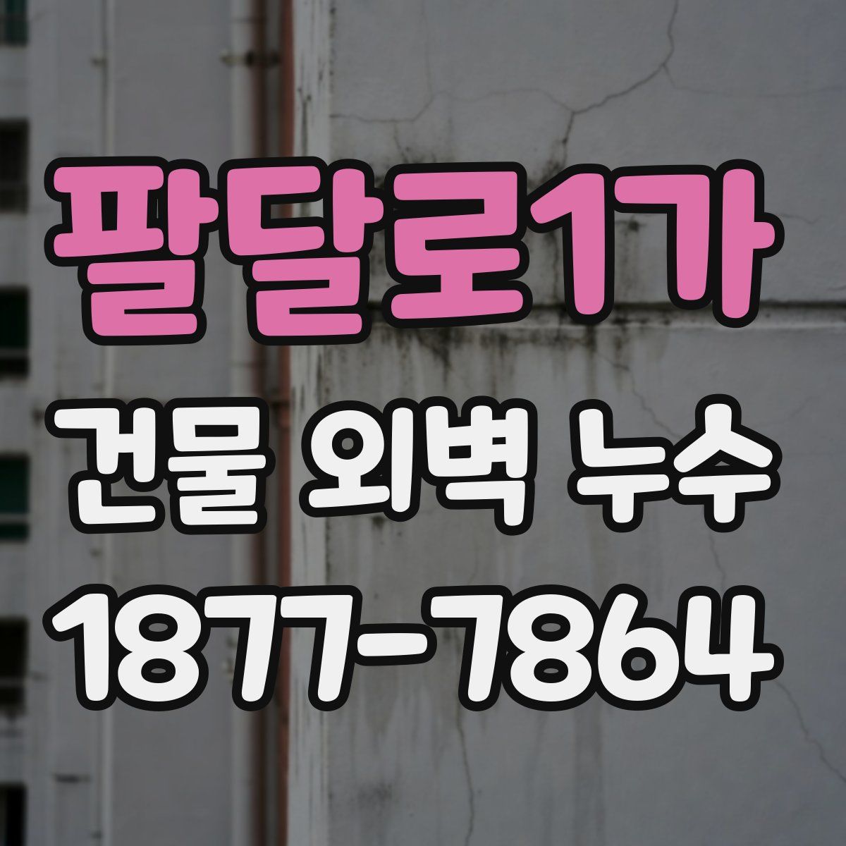 팔달로1가 건물 외벽 누수