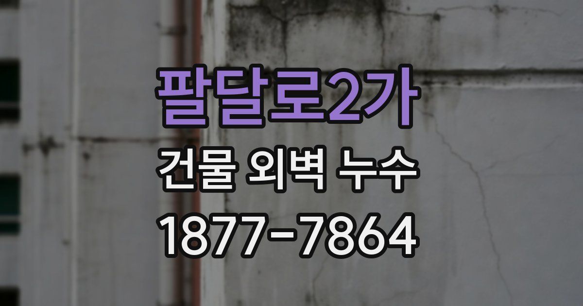 팔달로2가 건물 외벽 누수