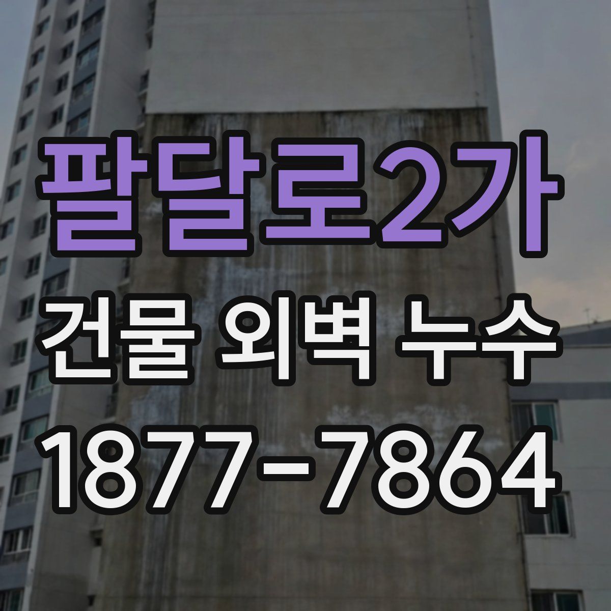 팔달로2가 건물 외벽 누수