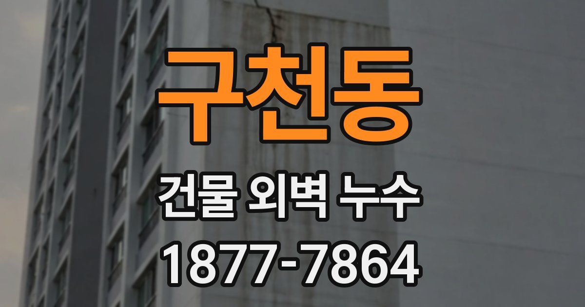 구천동 건물 외벽 누수