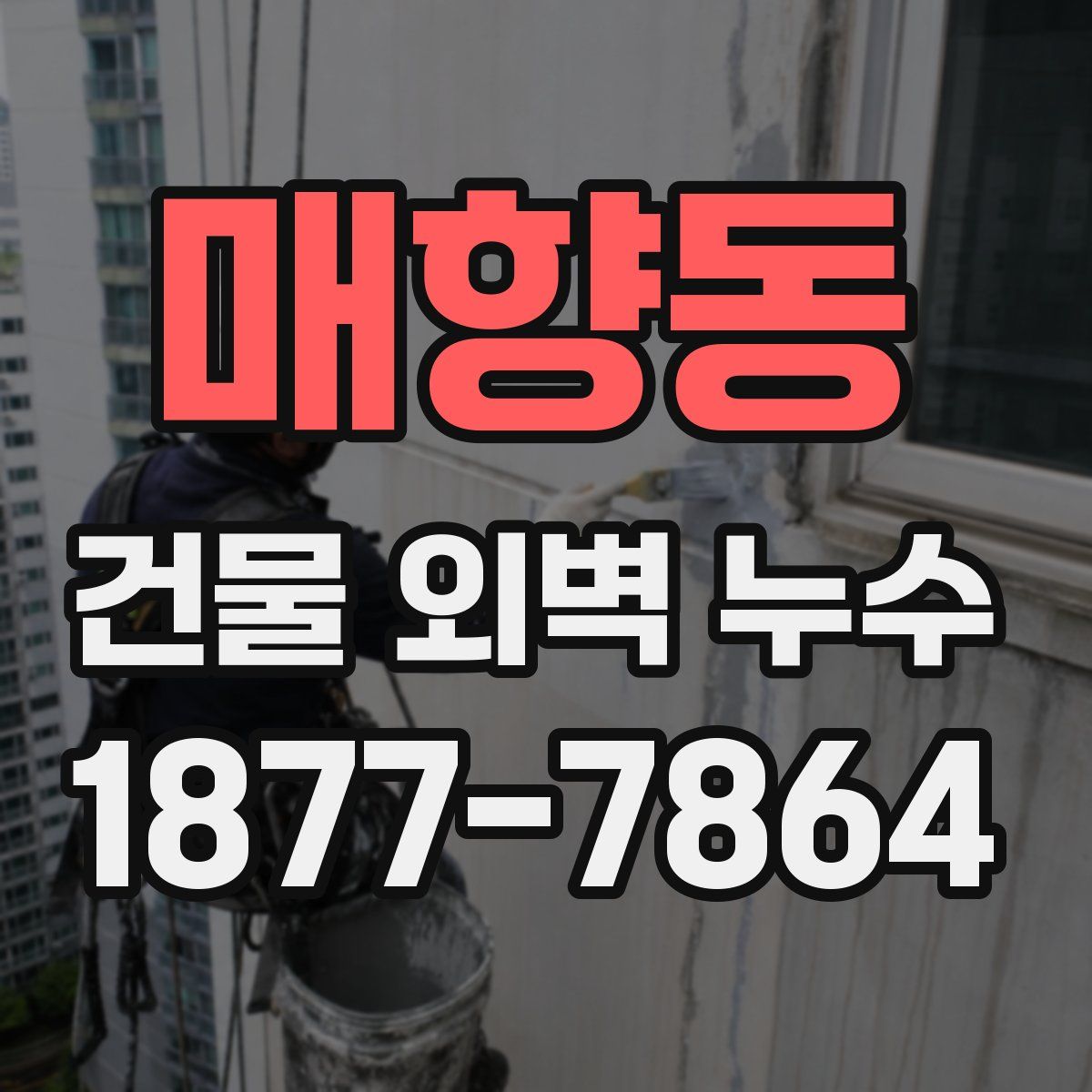 매향동 건물 외벽 누수