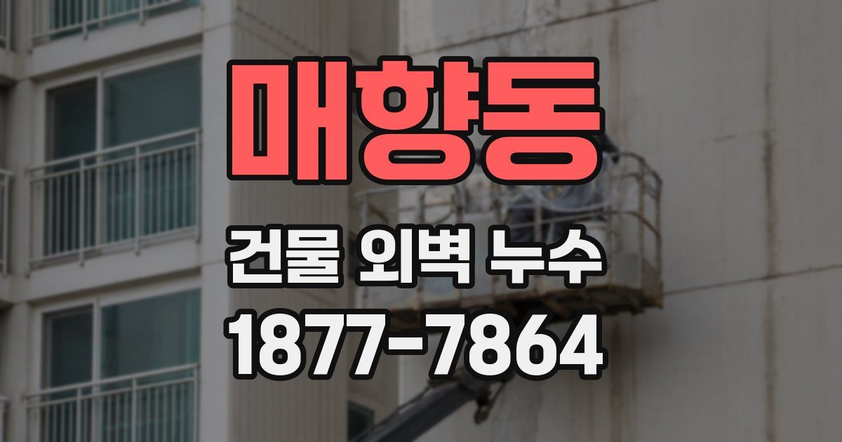 매향동 건물 외벽 누수
