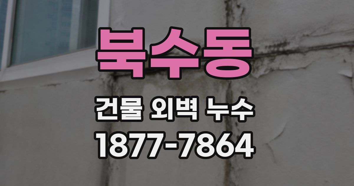 북수동 건물 외벽 누수