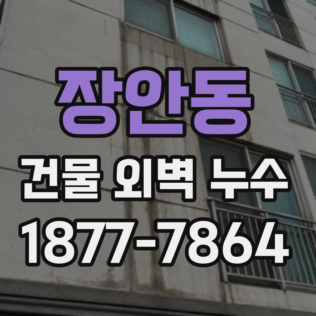 장안동 건물 외벽 누수
