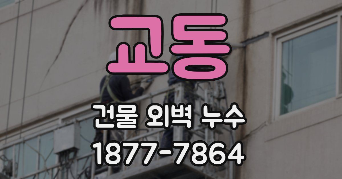 교동 건물 외벽 누수