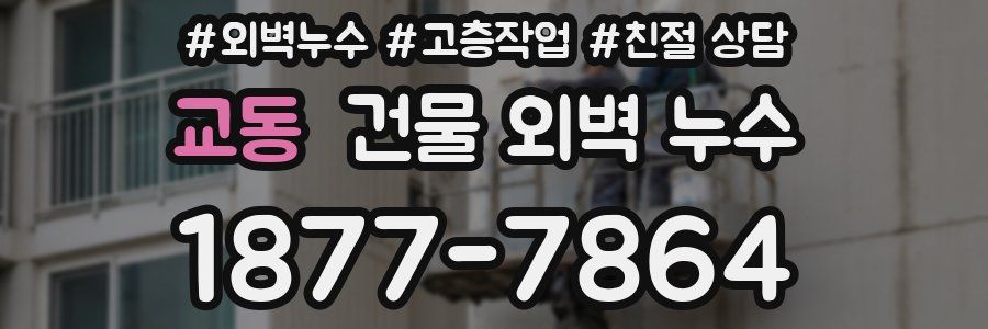 교동 건물 외벽 누수