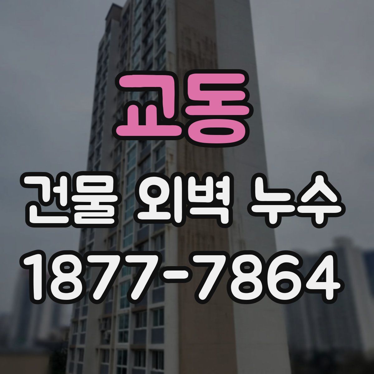 교동 건물 외벽 누수