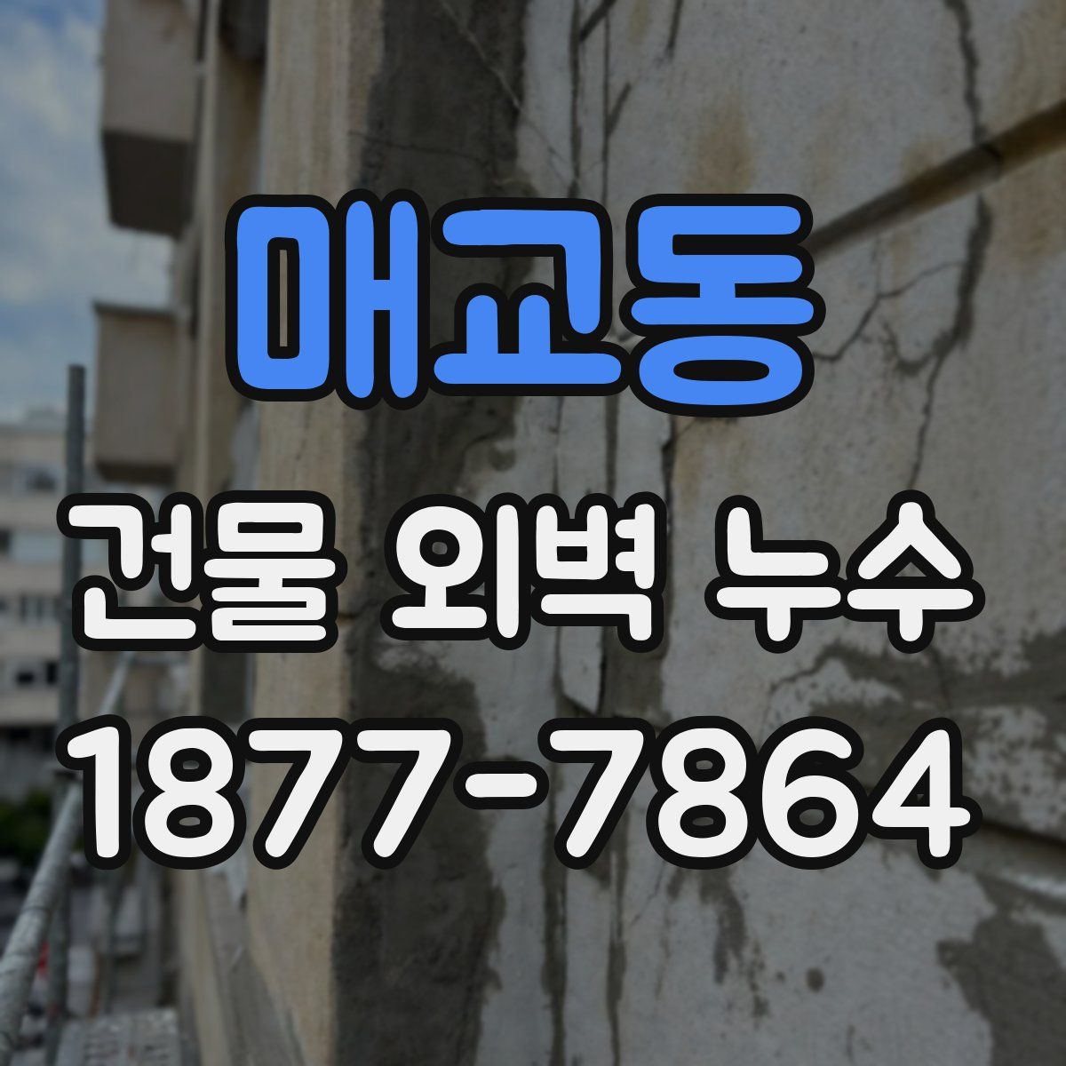 매교동 건물 외벽 누수