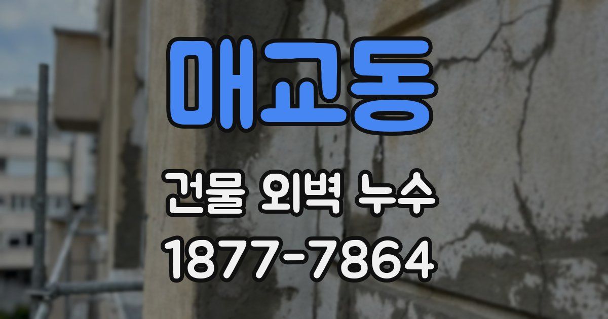 매교동 건물 외벽 누수