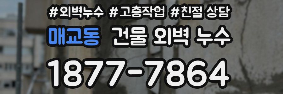 매교동 건물 외벽 누수