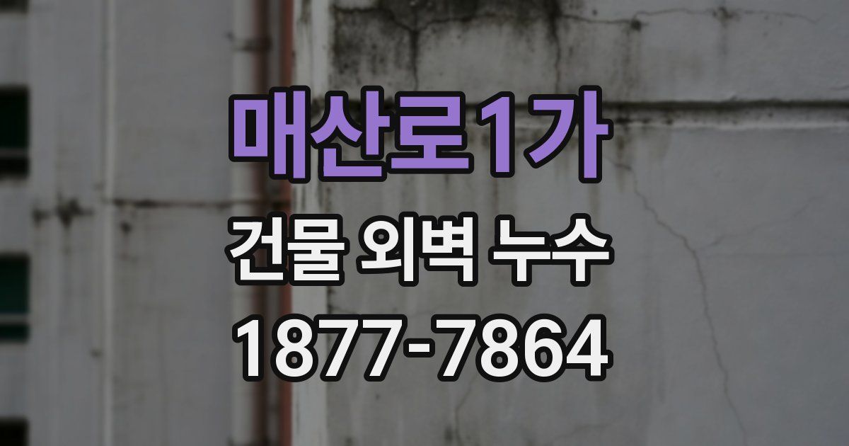 매산로1가 건물 외벽 누수