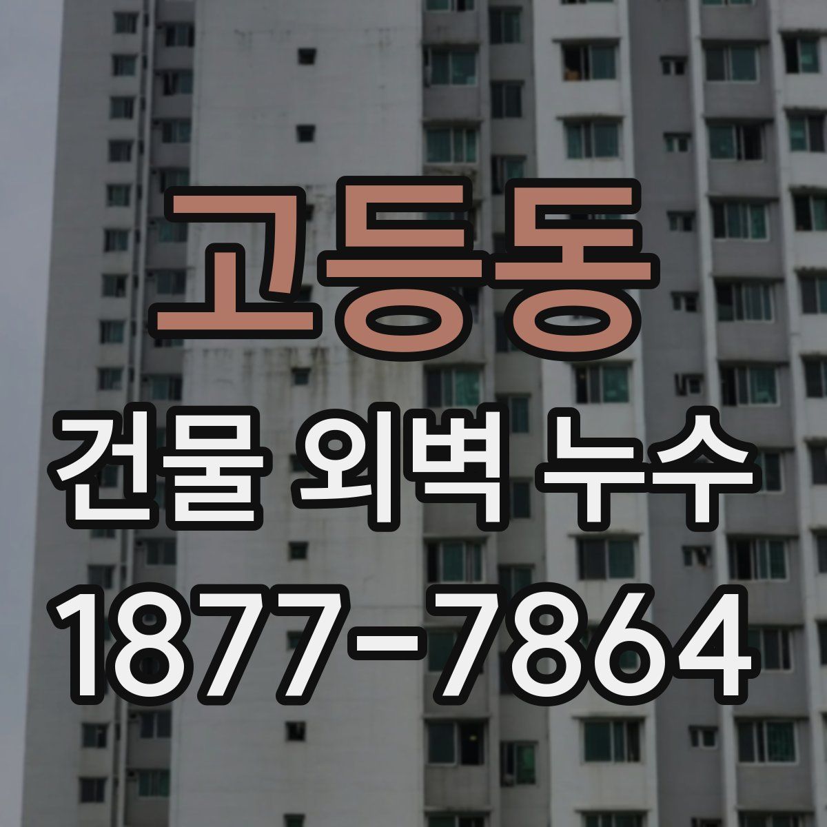 고등동 건물 외벽 누수