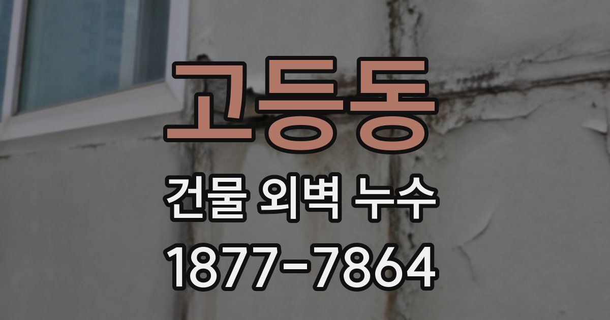 고등동 건물 외벽 누수