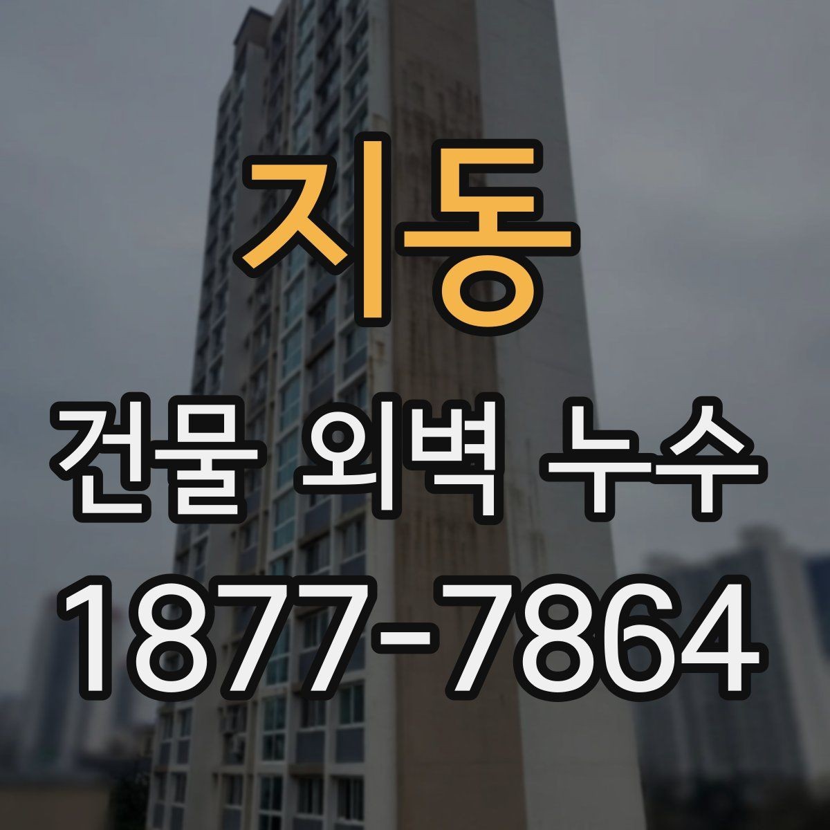 지동 건물 외벽 누수 처리 과정에서 확인할 점