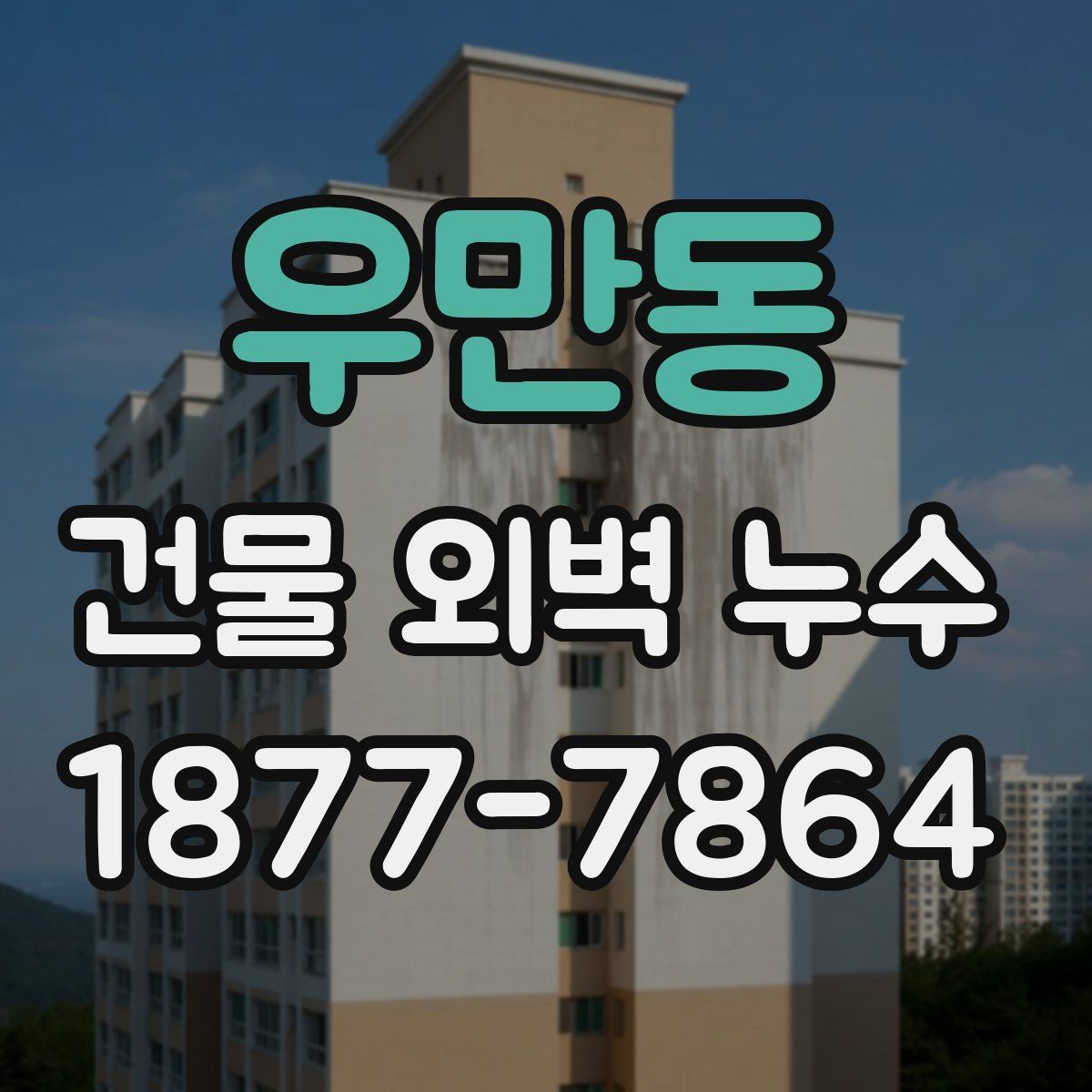 우만동 건물 외벽 누수